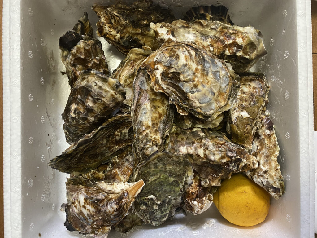 食べチョク　牡蠣